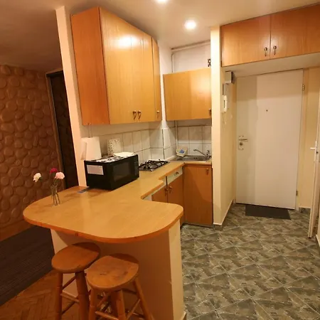 Apartment Zlota 60